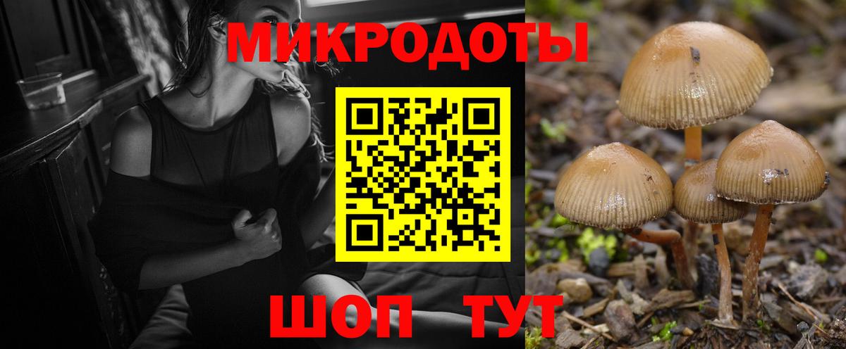 Галлюциногенные грибы мухоморы Корсаков